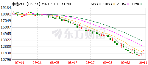 2021.10.11-今日猪价连续5天上涨，饲料涨价加剧养猪亏损一头亏500元，东瑞9月生猪收入降11%均价降16%，唐人神表示资金压力可控
