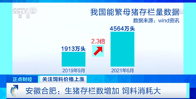 猪肉价格大跌！养一头猪亏500元？！饲料行业又迎“涨价潮”！接下来怎么走？