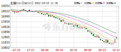 2021.10.12-今日猪价大面积上涨,连涨6天,大猪超大猪已被消化殆尽,猪价进入调整阶段;山西暴雨猪场受灾; 得利斯携益生等打造生猪全产业链项目