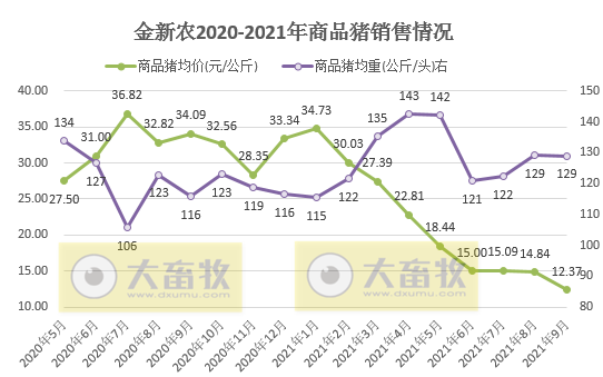 金新农:9月生猪销量环比增60%收入环增13%,仔猪均重回归正常,预计第三季度亏损3亿元