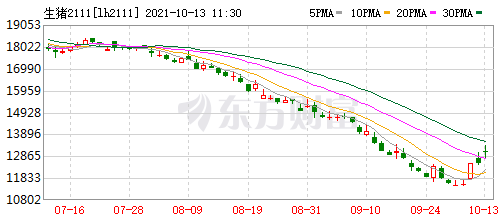 2021.10.13-今日猪价全面飘红，连涨7天，明年养猪或能开启新一轮盈利周期？仔猪价格连跌29周逼近猪肉价格，补栏时机到了吗？