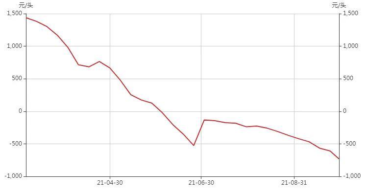 “猪茅”回血近四成，但全行业仍在低谷，机构称拐点在明年