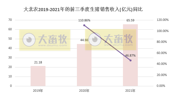 大北农：9月生猪销量42万头环增6%，前9月295万头同增167%，预计第三季度亏损近4亿元