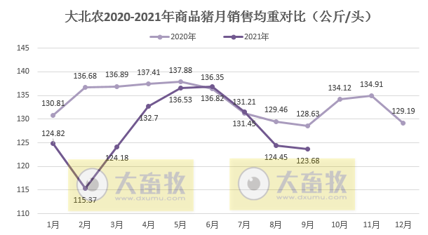 大北农：9月生猪销量42万头环增6%，前9月295万头同增167%，预计第三季度亏损近4亿元