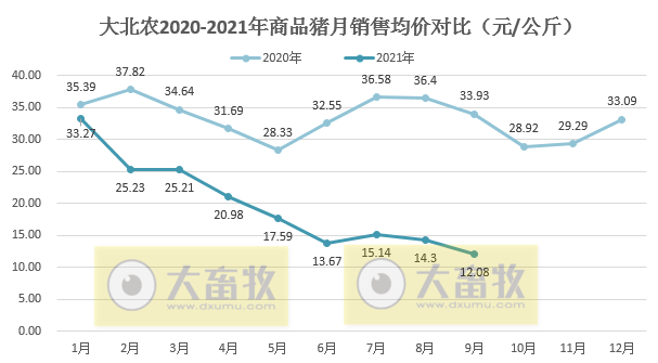 大北农：9月生猪销量42万头环增6%，前9月295万头同增167%，预计第三季度亏损近4亿元