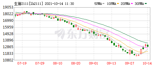 2021.10.14-今日猪价全面上涨，回到6元时代，北区涨势明显，此轮上涨原因及后势如何？广东养猪四大倡议；越南猪价大幅下降；生猪股和期货全线飘绿