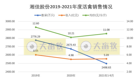 活禽市场9月迎来盈利，温氏、立华和湘佳9月和前三季度销售数据出炉