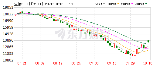 2021.10.18-今日猪价绝大多数省份一夜翻红,增幅较大,第三季度全国能繁母猪存栏减少105万头;仔猪抄底了吗?温氏母猪恢复得如何?