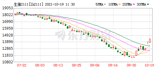 2021.10.19-今日猪价全面上涨,后市猪价如何?牧原净亏8.22亿元拟增募60亿作流动资金,四川生猪出栏同增30%,罗马尼亚6.4万头家猪感染非瘟