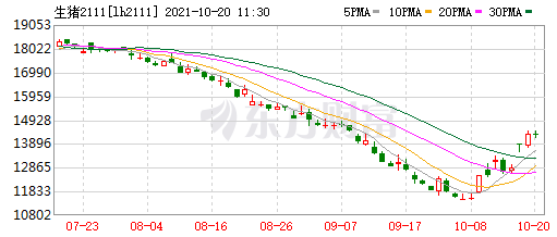 2021.10.20-今日猪价东北华北下跌，农业农村部称明年春节过后猪价可能继续走低；预计2023年或进入新一轮周期；牧原预计今年生猪出栏量4000万头