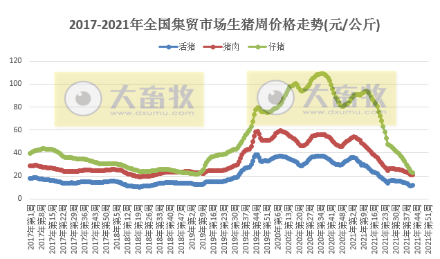 2021.10.21-今日猪价多地上涨，仔猪价格连跌30周至11.2元/斤，生猪养殖头均亏损633元连亏近5个月，9月猪饲料产量环降