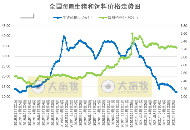 2021.10.21-今日猪价多地上涨，仔猪价格连跌30周至11.2元/斤，生猪养殖头均亏损633元连亏近5个月，9月猪饲料产量环降