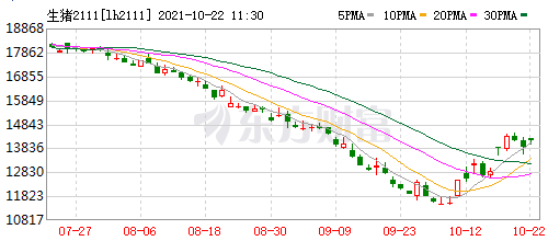 2021.10.22-今日猪价大面积上涨，回归7元时代，多地提前制腊肉灌香肠，大北农和神农第三季度亏损，正邦集团等质押12.5亿股