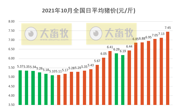 2021.10.24-今日猪价大涨,部分突破8元,压栏情绪高涨;生猪期货对稳定猪价有帮助吗?广东三季末生猪存栏降至2035万头9月头均亏损573元