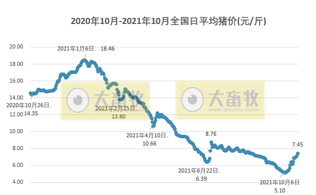 2021.10.24-今日猪价大涨,部分突破8元,压栏情绪高涨;生猪期货对稳定猪价有帮助吗?广东三季末生猪存栏降至2035万头9月头均亏损573元