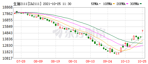 2021.10.25-今日猪价继续大涨，跨入8元时代；9月猪肉进口量环比减少25%；天康第三季度净亏4.3亿元；生猪期货主力合约涨停