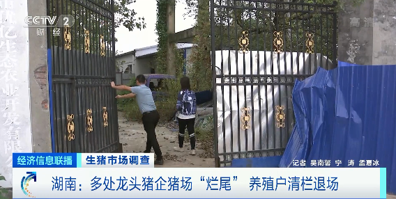 多处龙头猪企猪场“烂尾”！8个月价格降90%，仔猪150元一只都难卖！本轮猪周期拐点来了吗？