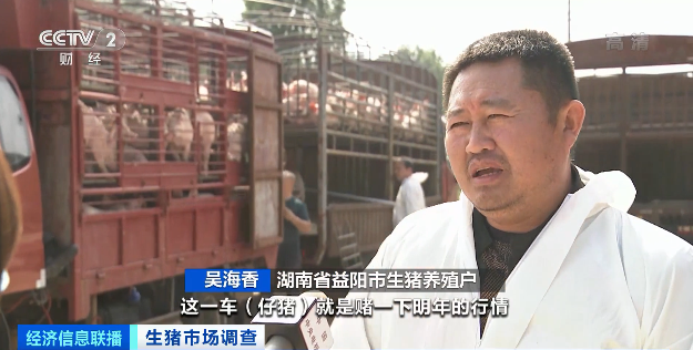 多处龙头猪企猪场“烂尾”！8个月价格降90%，仔猪150元一只都难卖！本轮猪周期拐点来了吗？