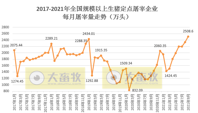 2021.11.4-今日猪价多地下跌西南独涨,众说纷纭猪周期拐点何时现?单月生猪屠宰量突破2500万头创新高,规模养殖成本连续5个月高于散养