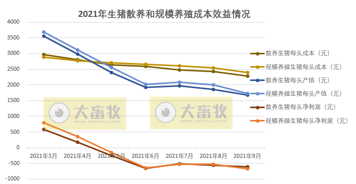 2021.11.4-今日猪价多地下跌西南独涨,众说纷纭猪周期拐点何时现?单月生猪屠宰量突破2500万头创新高,规模养殖成本连续5个月高于散养