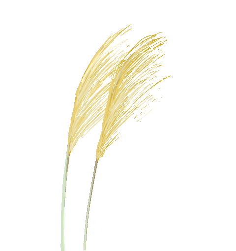 今日寒露：天气由凉转冷，畜禽养殖需注意