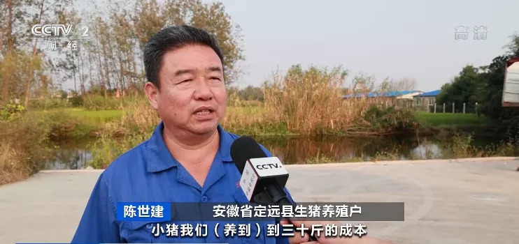 猪肉价格大跌！养一头猪亏500元？！饲料行业又迎“涨价潮”！接下来怎么走？