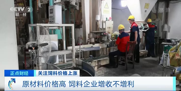 猪肉价格大跌！养一头猪亏500元？！饲料行业又迎“涨价潮”！接下来怎么走？