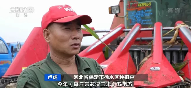 猪肉价格大跌！养一头猪亏500元？！饲料行业又迎“涨价潮”！接下来怎么走？