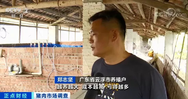 养一头猪亏上千元！养殖企业9个月赔掉10年利润！猪价何时会见底？