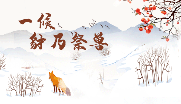 今日霜降,昼夜温差大,养猪要注意什么?