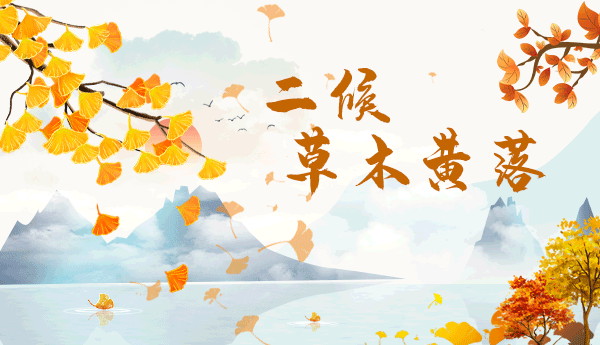 今日霜降,昼夜温差大,养猪要注意什么?
