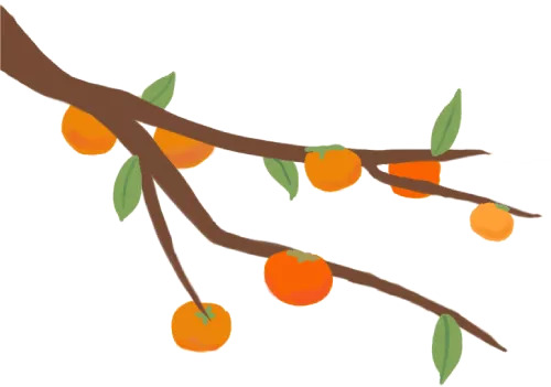 今日霜降,昼夜温差大,养猪要注意什么?