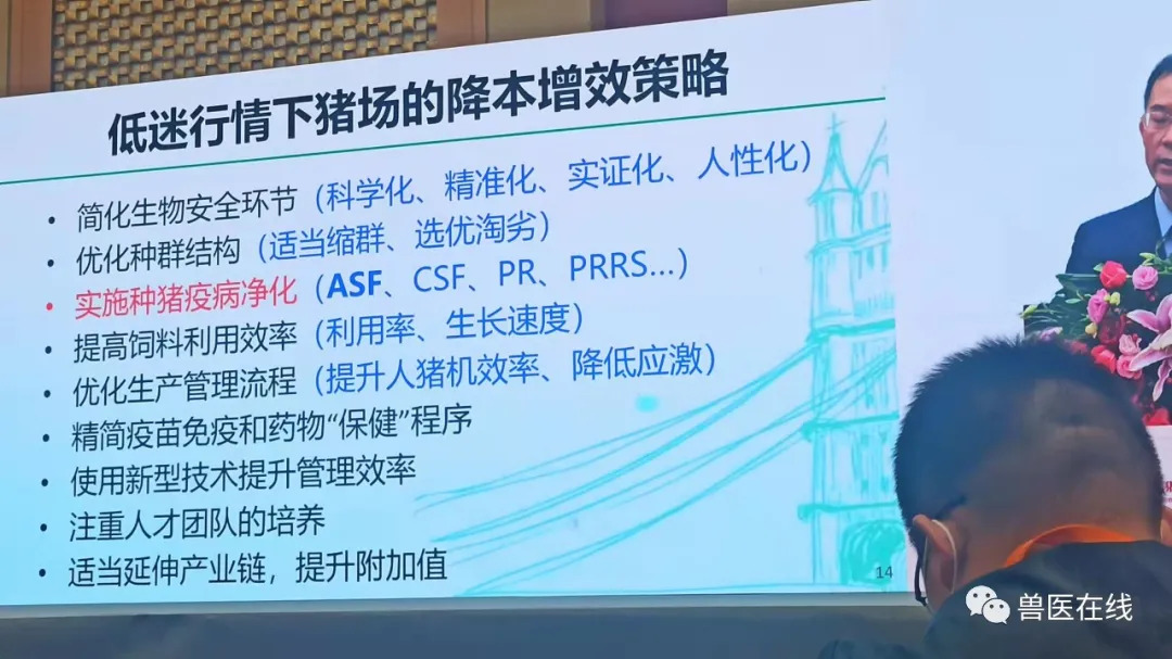 仇华吉在李曼大会上的主题报告《非洲猪瘟带给我们的反思》