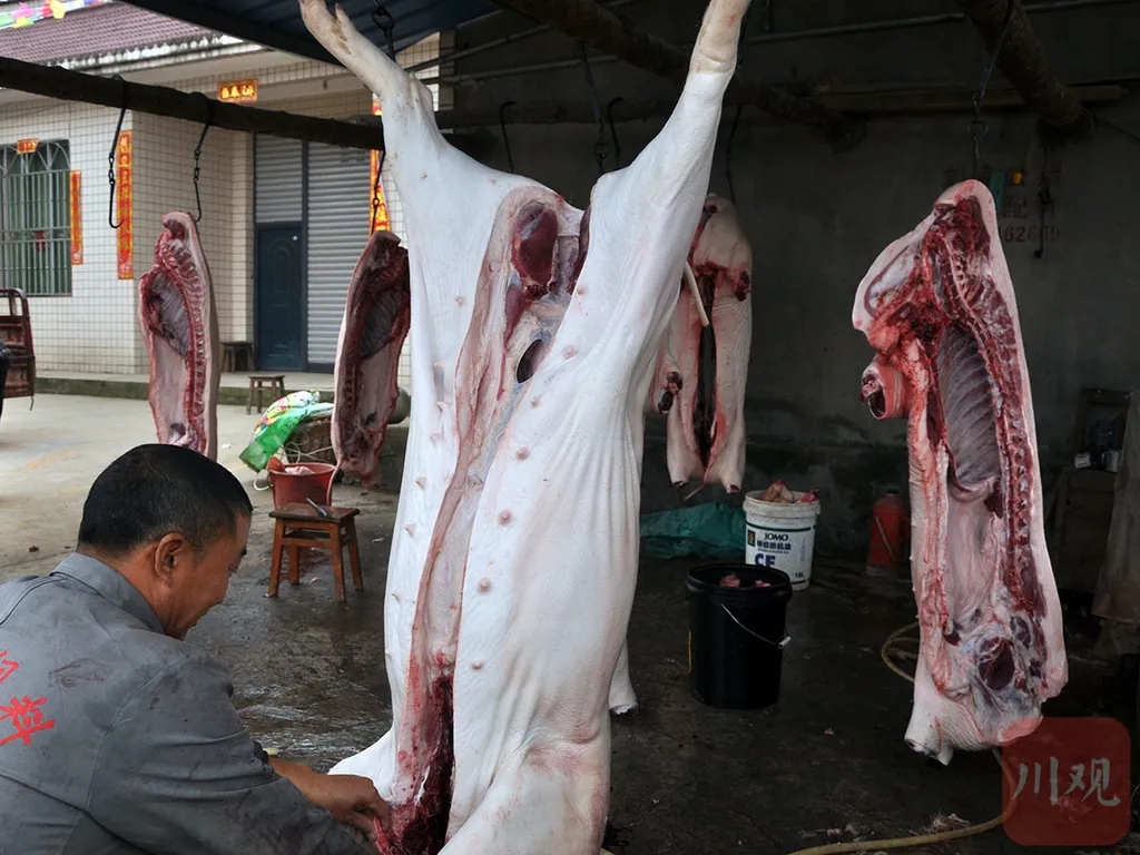 杀年猪要被取消？村民杀猪吃肉成本要增加？官方回应来了