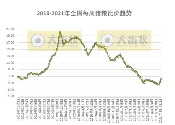 发改委最新数据：2021年10月第4周猪粮比价、猪料、鸡料、蛋料比价情况——猪粮比回升至6以上，生猪接近盈亏平衡，肉鸡继续亏损，一只蛋鸡盈利62元