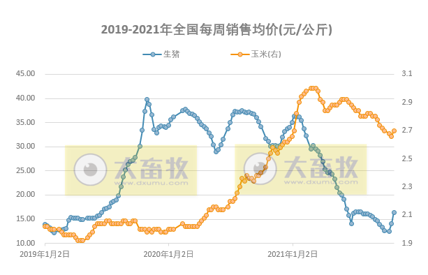 发改委最新数据：2021年10月第4周猪粮比价、猪料、鸡料、蛋料比价情况——猪粮比回升至6以上，生猪接近盈亏平衡，肉鸡继续亏损，一只蛋鸡盈利62元
