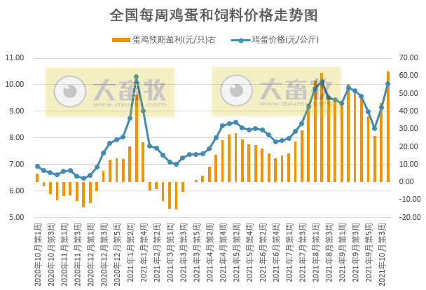 发改委最新数据：2021年10月第4周猪粮比价、猪料、鸡料、蛋料比价情况——猪粮比回升至6以上，生猪接近盈亏平衡，肉鸡继续亏损，一只蛋鸡盈利62元