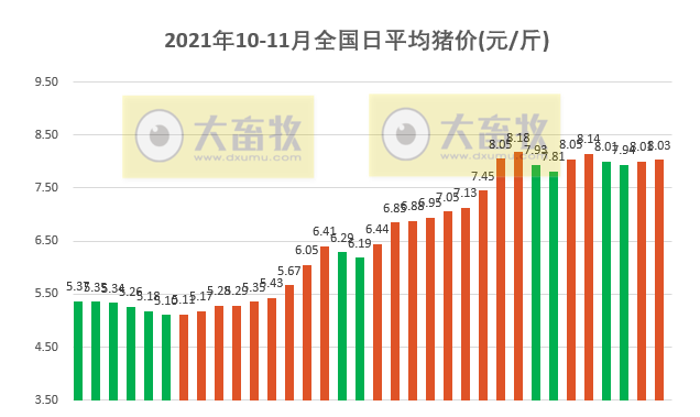 2021.11.3-今日猪价稳中带涨,消费需求回升,仔猪价格连涨2周仍低于猪肉价格,补栏仍是好时机?生猪股和期货双双全面飘红
