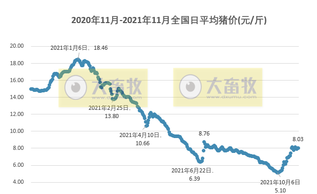 2021.11.3-今日猪价稳中带涨,消费需求回升,仔猪价格连涨2周仍低于猪肉价格,补栏仍是好时机?生猪股和期货双双全面飘红