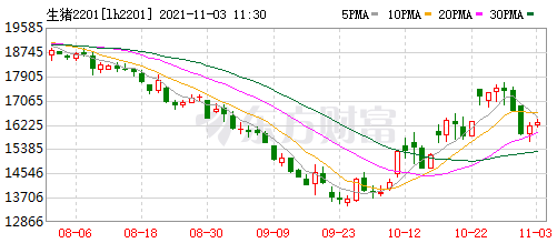 2021.11.3-今日猪价稳中带涨，消费需求回升，仔猪价格连涨2周仍低于猪肉价格，补栏仍是好时机？生猪股和期货双双全面飘红
