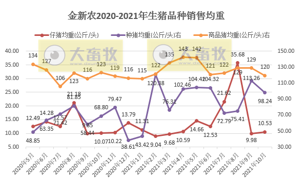 金新农:10月生猪销量环比增长73%,今年单月销量最高,仔猪种猪价格有回升