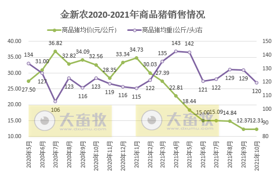 金新农:10月生猪销量环比增长73%,今年单月销量最高,仔猪种猪价格有回升