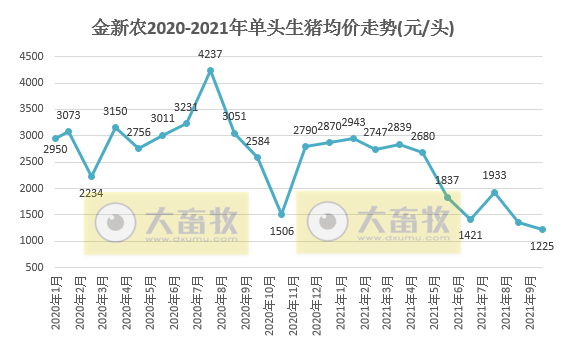 金新农:10月生猪销量环比增长73%,今年单月销量最高,仔猪种猪价格有回升