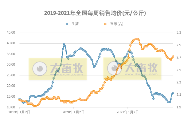 发改委最新数据：2021年11月第1周猪粮比价、猪料、鸡料、蛋料比价情况——生猪连亏24周后扭亏为盈，肉鸡连亏9周幅度收窄，1只蛋鸡预赚61元