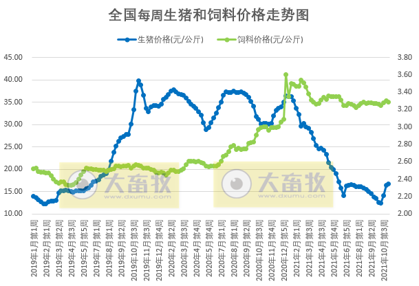 发改委最新数据：2021年11月第1周猪粮比价、猪料、鸡料、蛋料比价情况——生猪连亏24周后扭亏为盈，肉鸡连亏9周幅度收窄，1只蛋鸡预赚61元