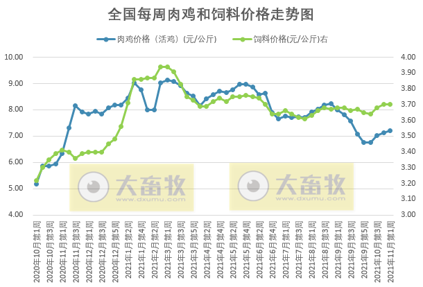 发改委最新数据：2021年11月第1周猪粮比价、猪料、鸡料、蛋料比价情况——生猪连亏24周后扭亏为盈，肉鸡连亏9周幅度收窄，1只蛋鸡预赚61元