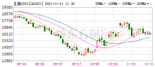 2021.11.11-今日猪价稳稳，天邦公布第三季度大额亏损的原因，新希望拟使用47亿闲置资金作流动资金，天康10月生猪销量环降27%