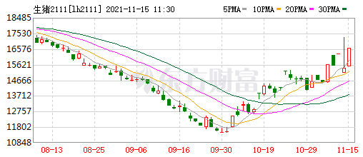 2021.11.15-今日猪价继续上涨，超过前阶段高位，13省高于9元；11月饲料价格开始第二轮上涨；天康规划生猪目标500万头；俄罗斯因非瘟扑杀5.4万头家猪