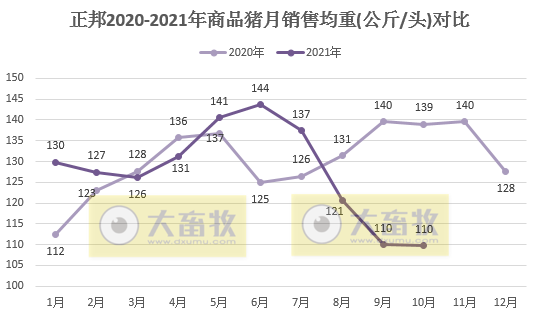 正邦科技:10月低价抛售仔猪,商品猪低至5.3元/斤,单月收入近21个月新低