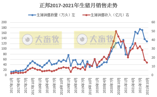 正邦科技:10月低价抛售仔猪,商品猪低至5.3元/斤,单月收入近21个月新低